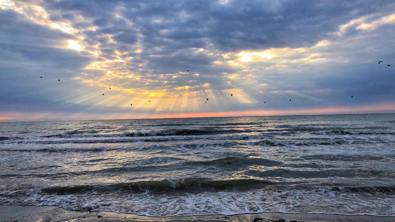 Lucky Star Studio Mamaia Nord นาโวดาริ ภายนอก รูปภาพ